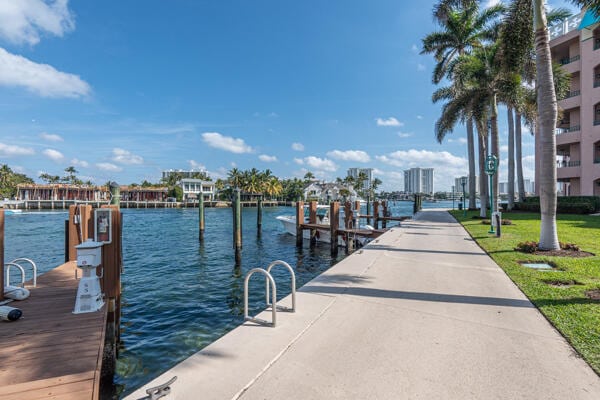 dock area with a water view