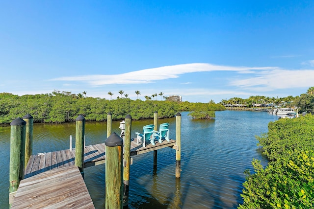 dock area featuring a water view