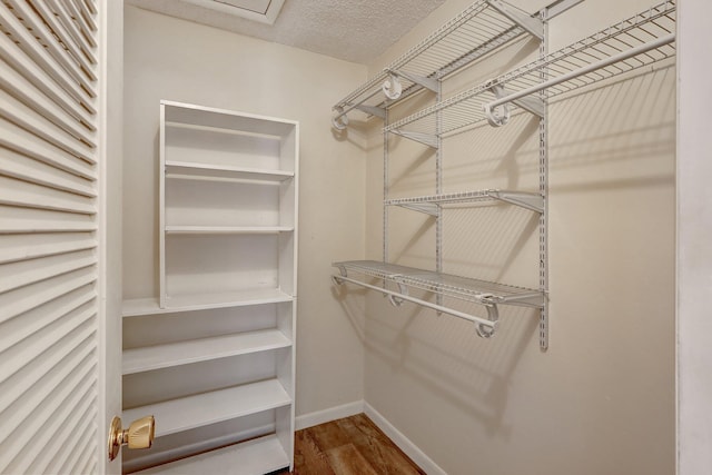 walk in closet with hardwood / wood-style floors