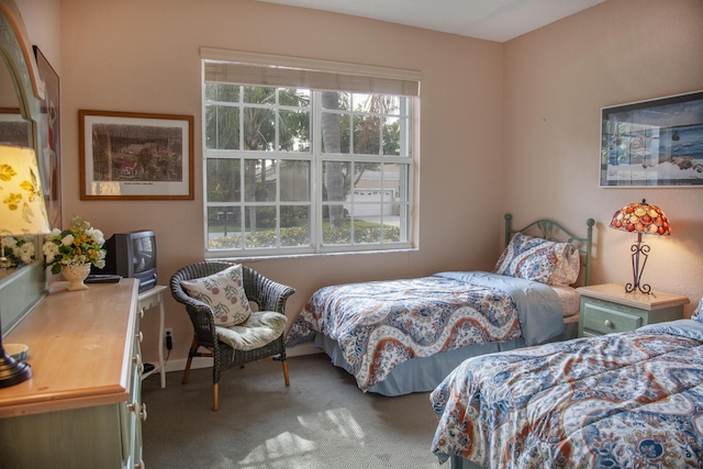 bedroom featuring carpet flooring