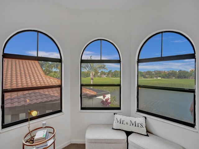 living area with carpet and plenty of natural light