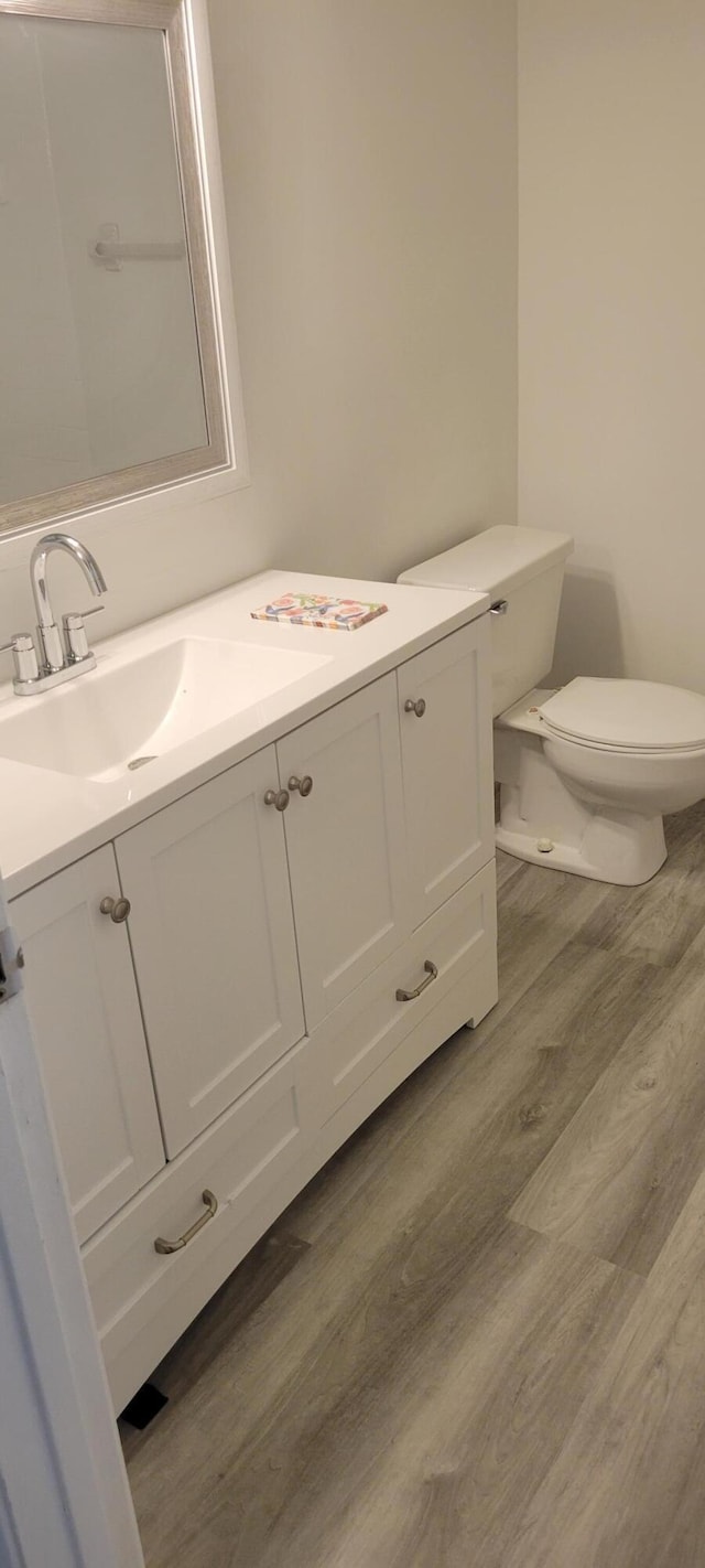 bathroom featuring vanity, wood-type flooring, and toilet