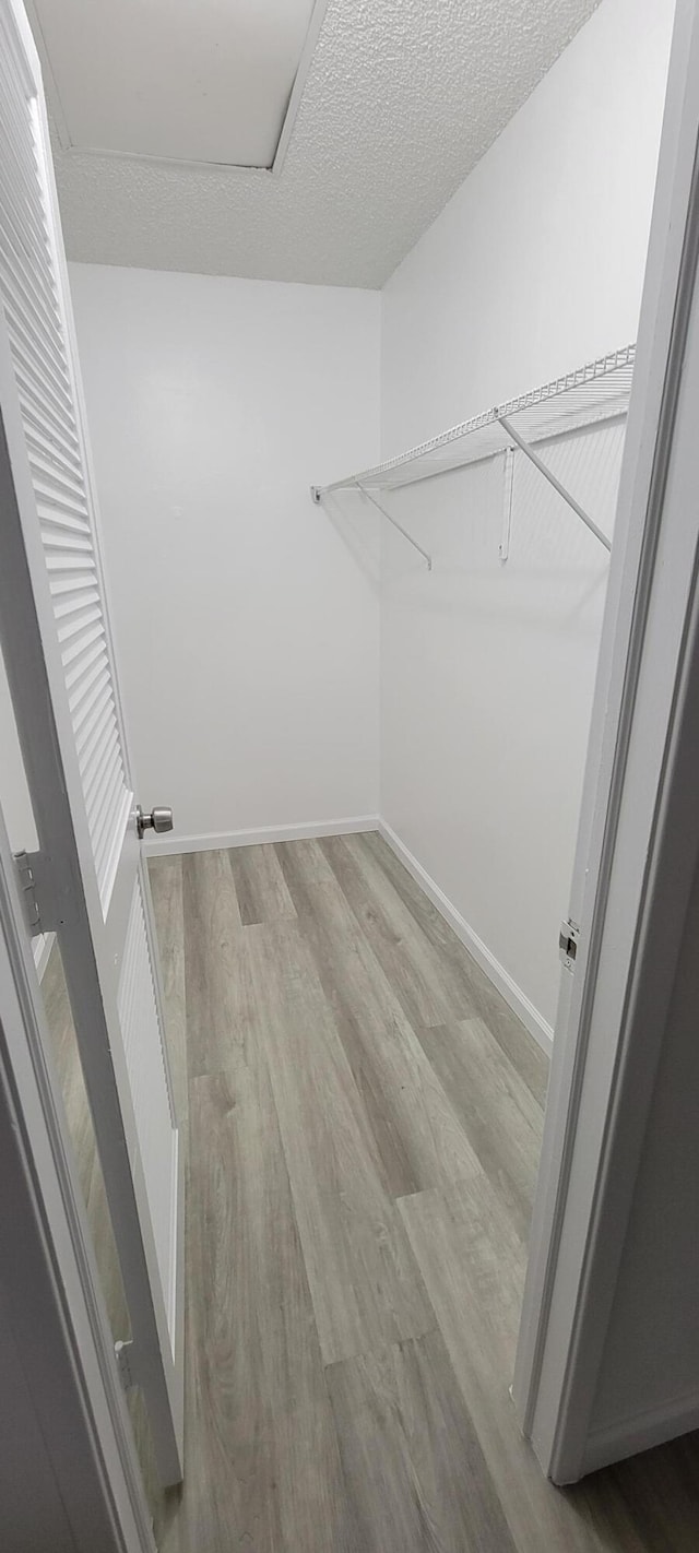 spacious closet with light hardwood / wood-style floors