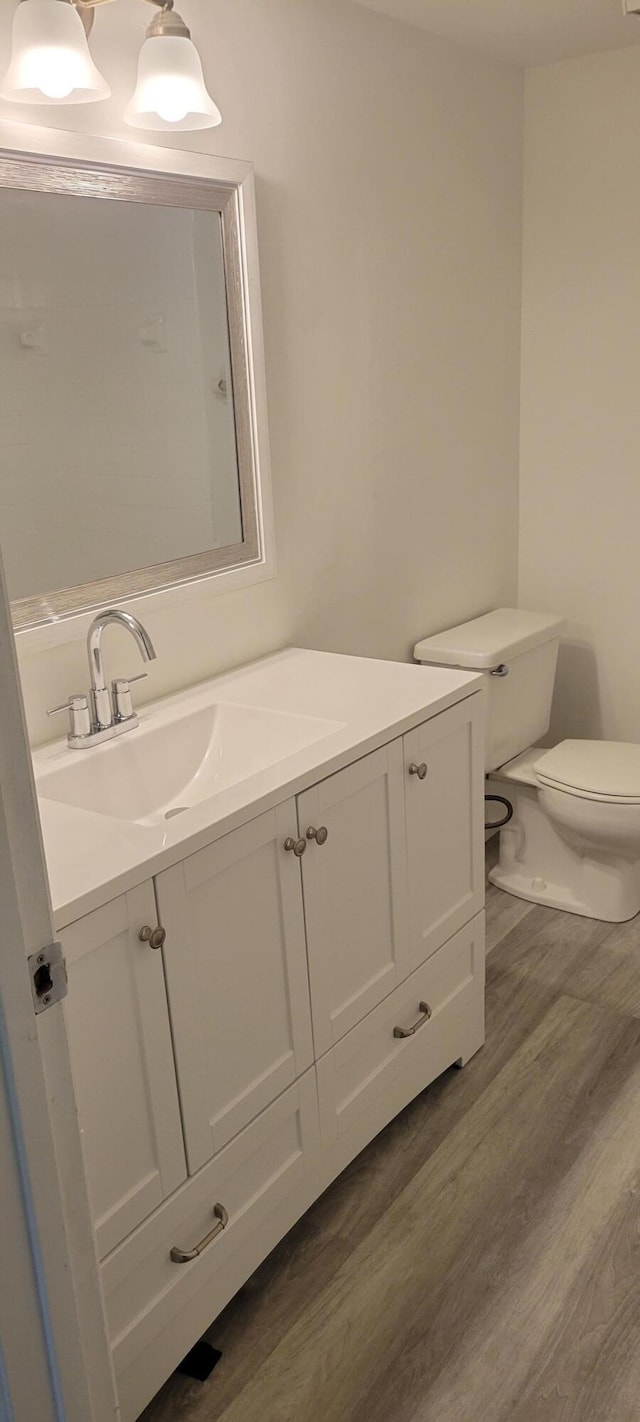 bathroom with hardwood / wood-style floors, vanity, and toilet