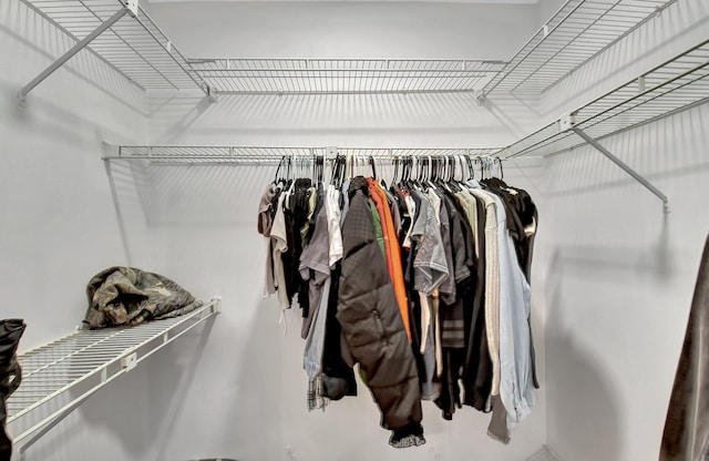 view of walk in closet