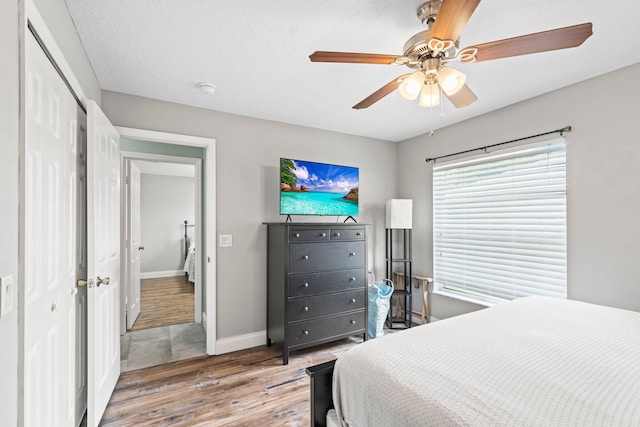 bedroom with multiple windows, hardwood / wood-style floors, and ceiling fan