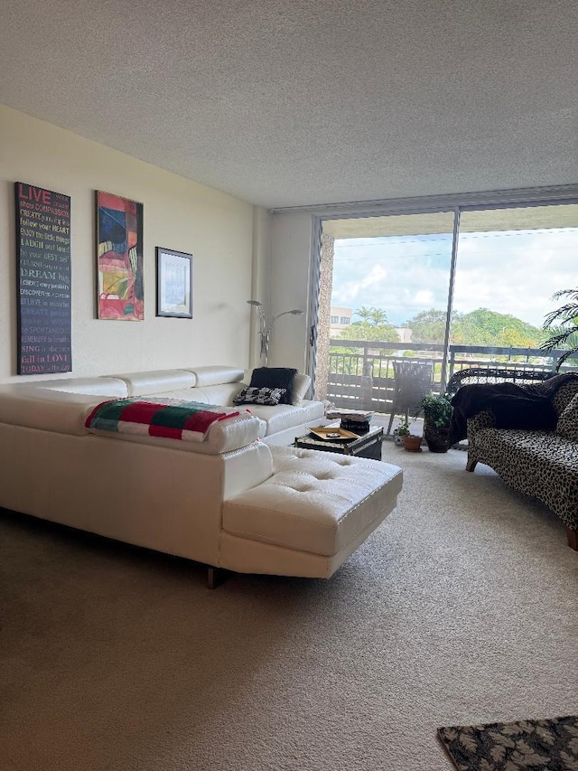 carpeted living room featuring floor to ceiling windows and a textured ceiling