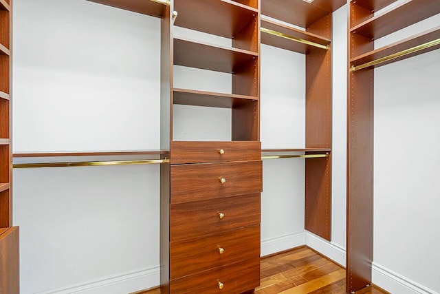 spacious closet featuring wood-type flooring