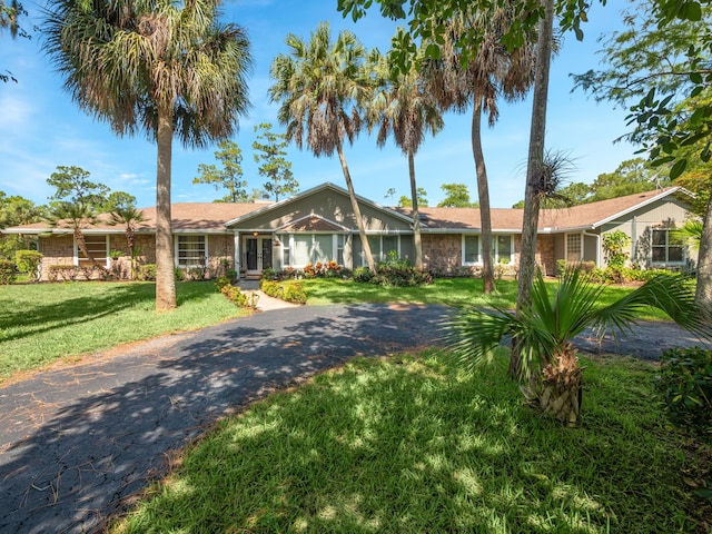 ranch-style house with a front yard