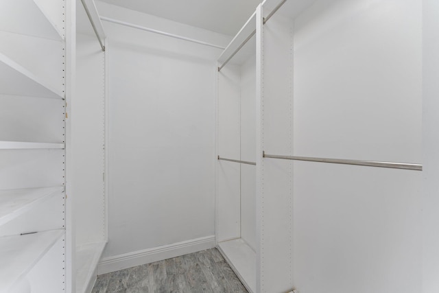 spacious closet featuring light wood-type flooring