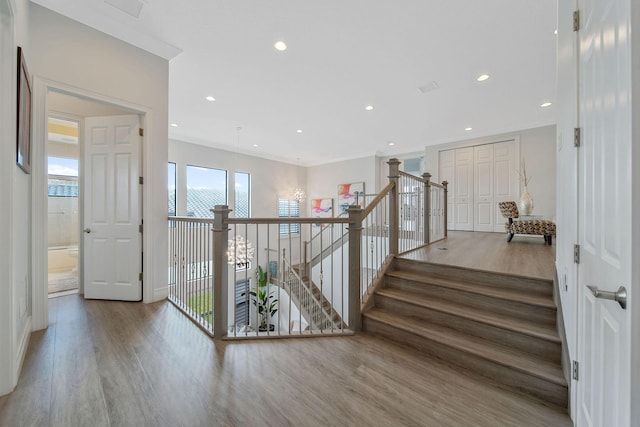 stairway featuring hardwood / wood-style floors