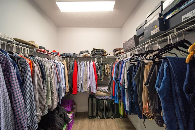 spacious closet featuring hardwood / wood-style flooring