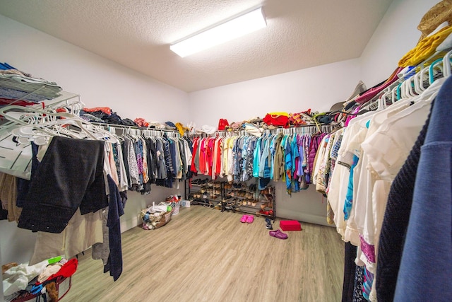 walk in closet with hardwood / wood-style flooring