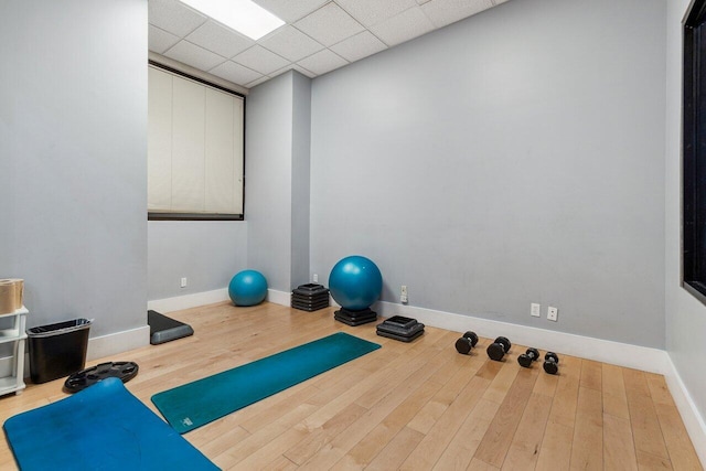 exercise room featuring a paneled ceiling and hardwood / wood-style flooring