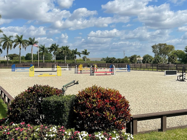 view of jungle gym