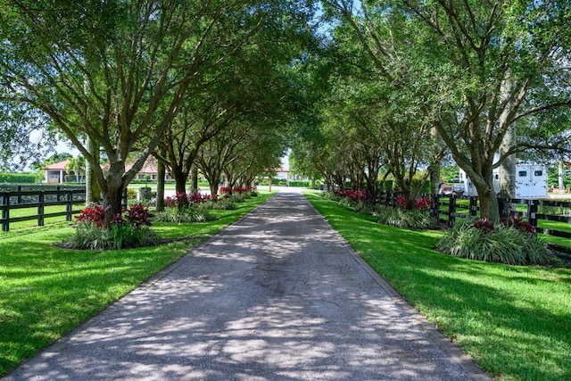 view of home's community with a yard