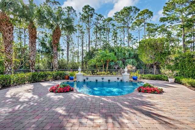 view of swimming pool with a patio area