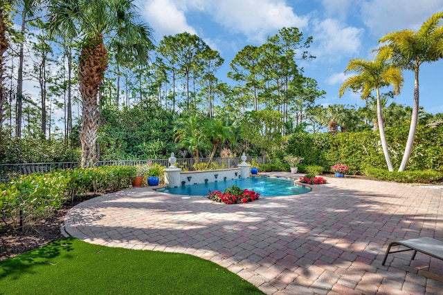 view of swimming pool with a patio