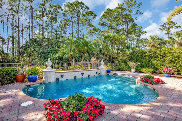 view of swimming pool featuring a patio area