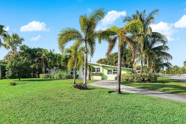 view of property's community with a yard