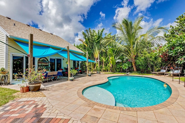 view of pool with a patio area