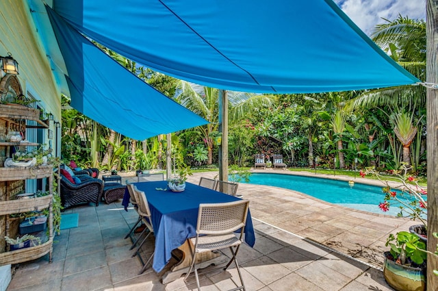 view of swimming pool featuring a patio area and outdoor lounge area