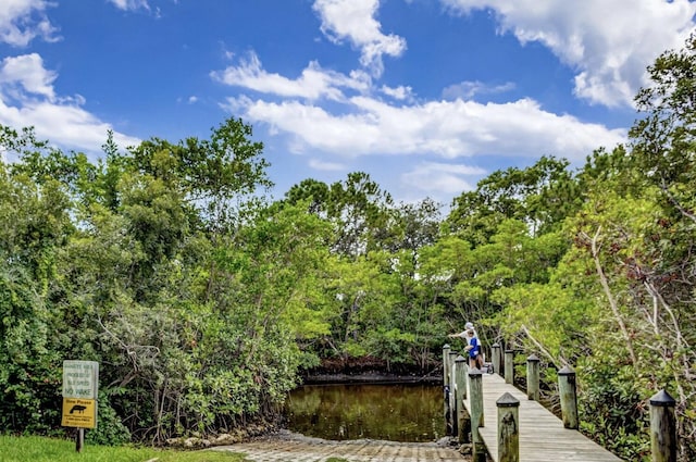 dock area featuring a water view