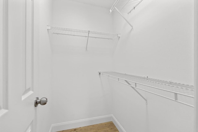 spacious closet featuring hardwood / wood-style flooring