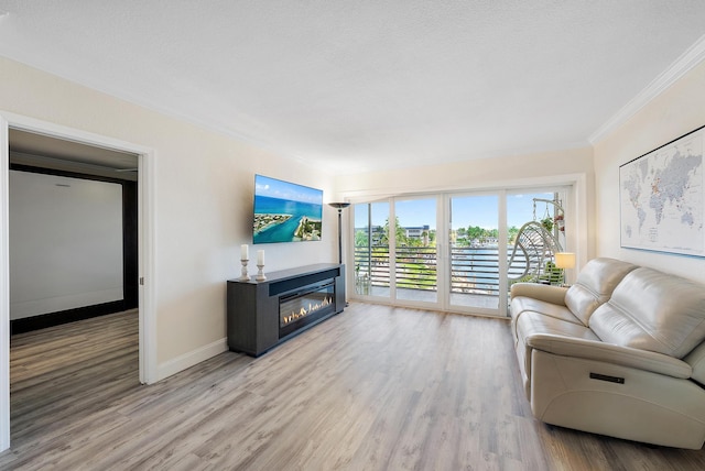 living room with light hardwood / wood-style floors, a textured ceiling, and ornamental molding