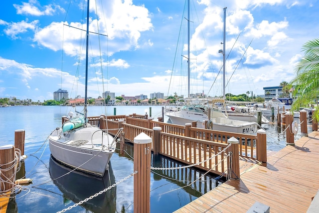 dock area with a water view