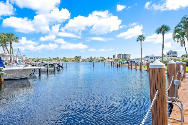 water view featuring a dock