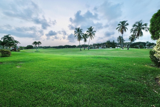 view of home's community with a lawn