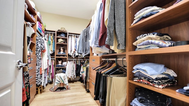 spacious closet featuring light hardwood / wood-style flooring