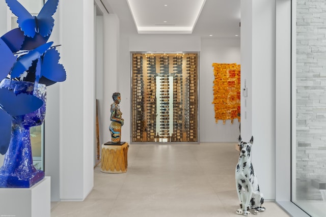 hallway featuring a tray ceiling