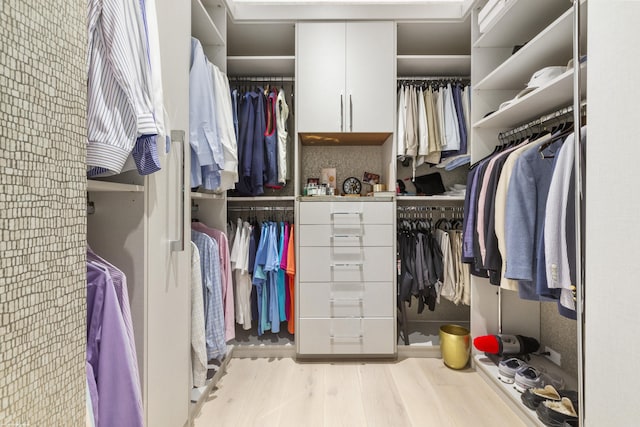 spacious closet with light wood-type flooring