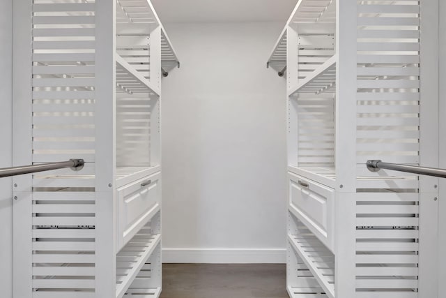 spacious closet with hardwood / wood-style floors