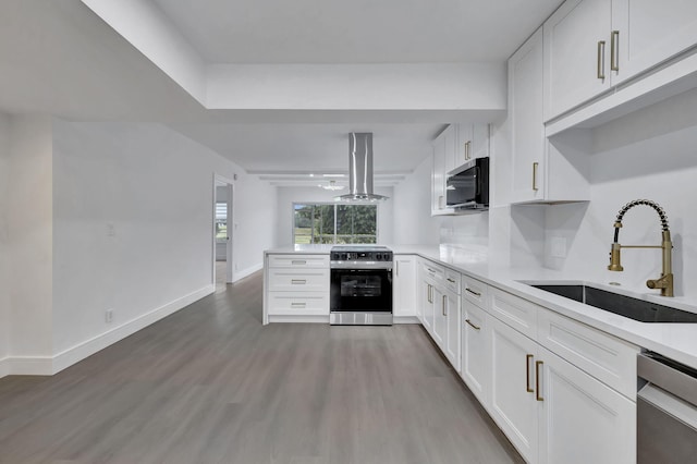 kitchen with stainless steel appliances, a sink, wood finished floors, white cabinetry, and island exhaust hood