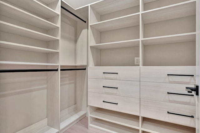 spacious closet with light hardwood / wood-style flooring