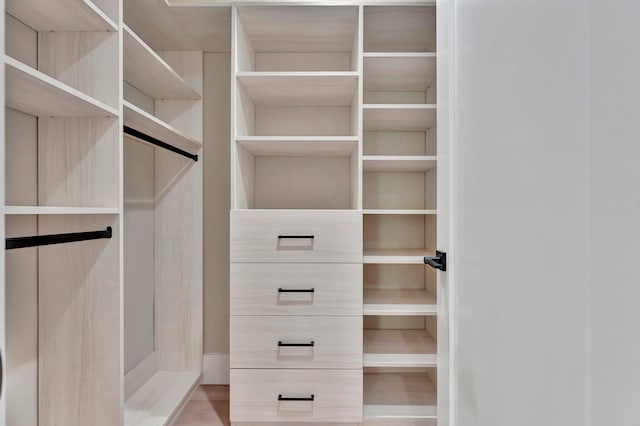 view of spacious closet