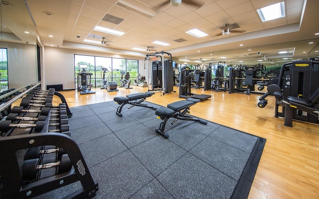 workout area with ceiling fan, a drop ceiling, wood-type flooring, and a tray ceiling