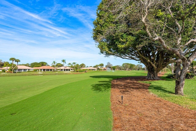 view of property's community with a yard