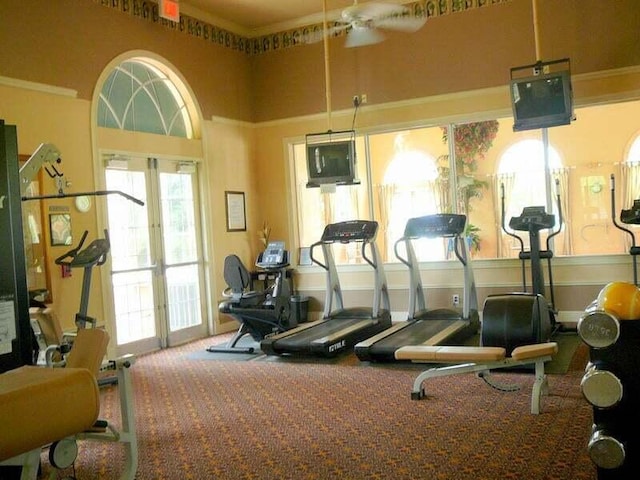 exercise room featuring carpet