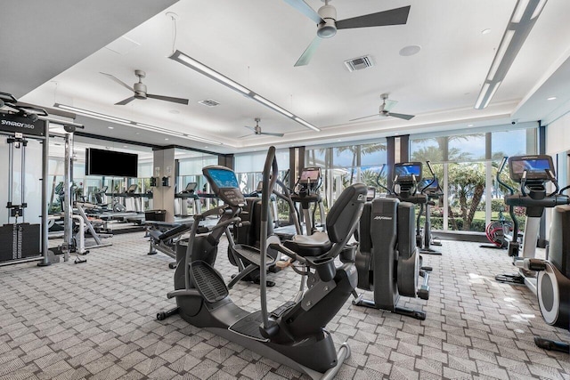 gym featuring light carpet, a raised ceiling, and a wall of windows