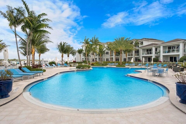 view of pool with a patio