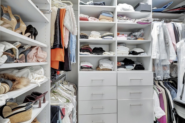 view of walk in closet