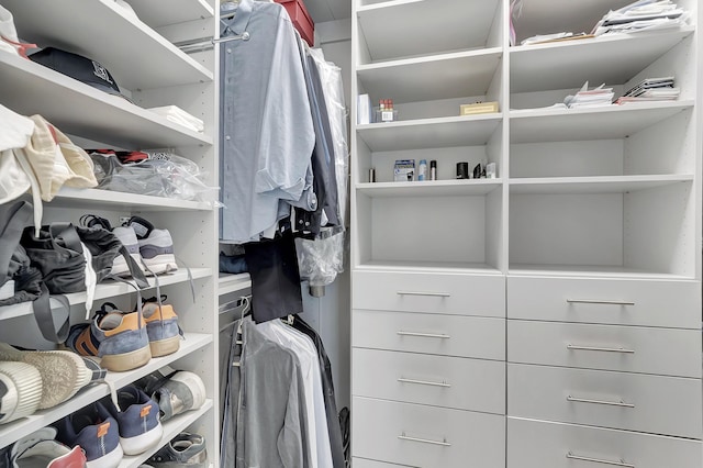 view of spacious closet