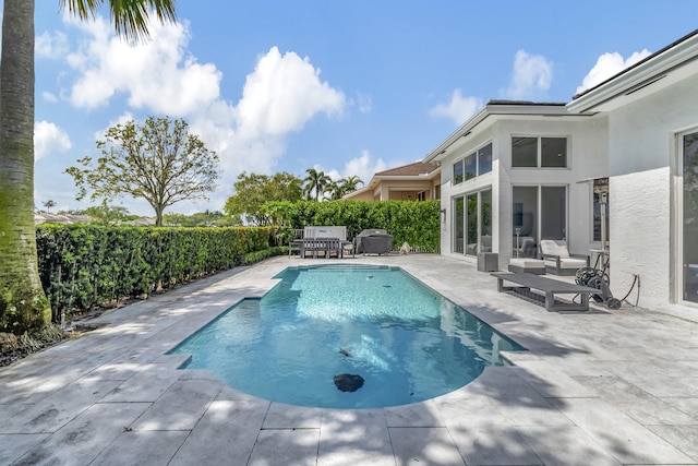 view of swimming pool with a patio area and an outdoor hangout area