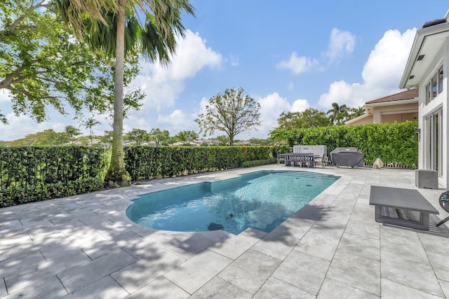 view of swimming pool with area for grilling and a patio area