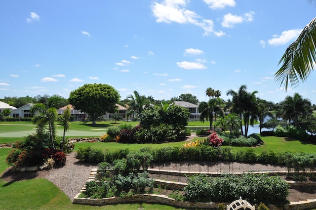 view of property's community featuring a yard