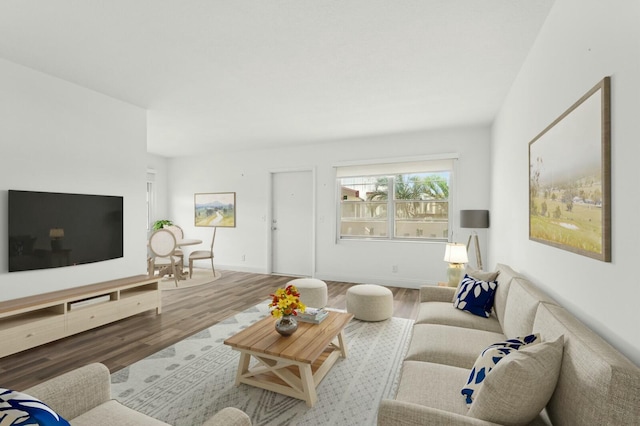 living room with wood-type flooring